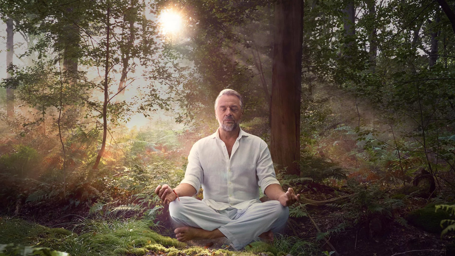 Kalm Waes Background