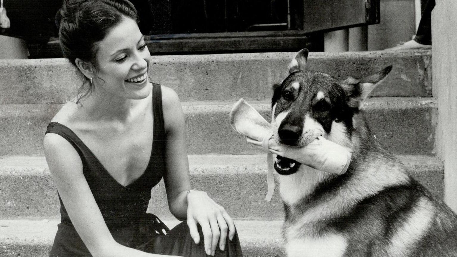 The Littlest Hobo Background