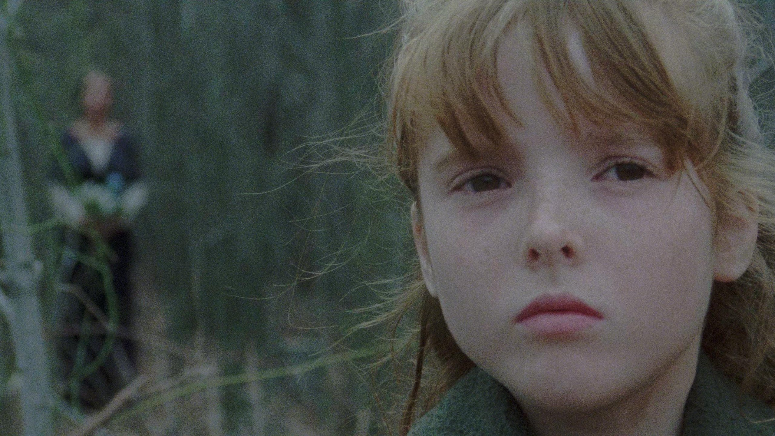 The House by the Cemetery Background