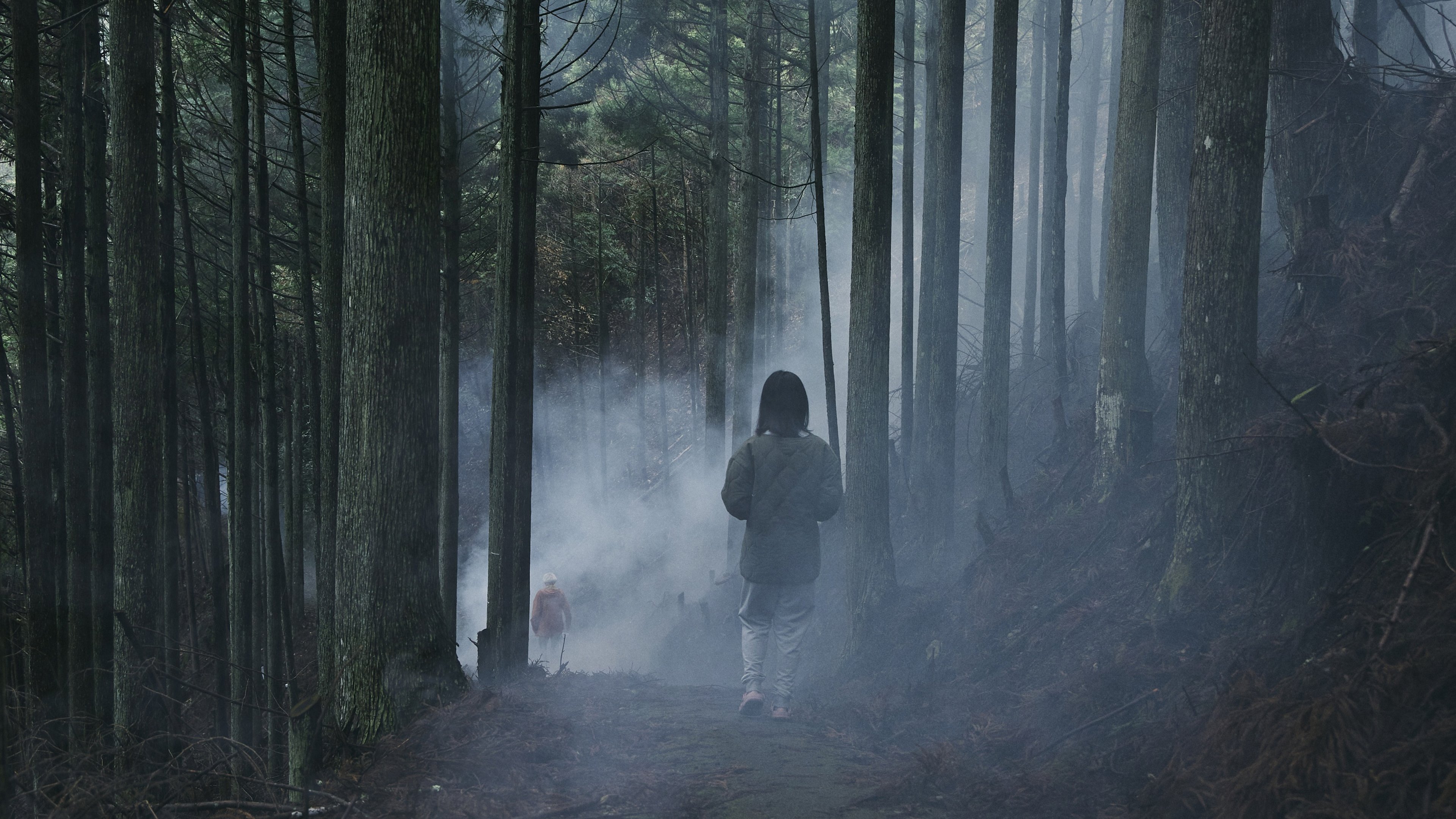 Beyond the Fog Background