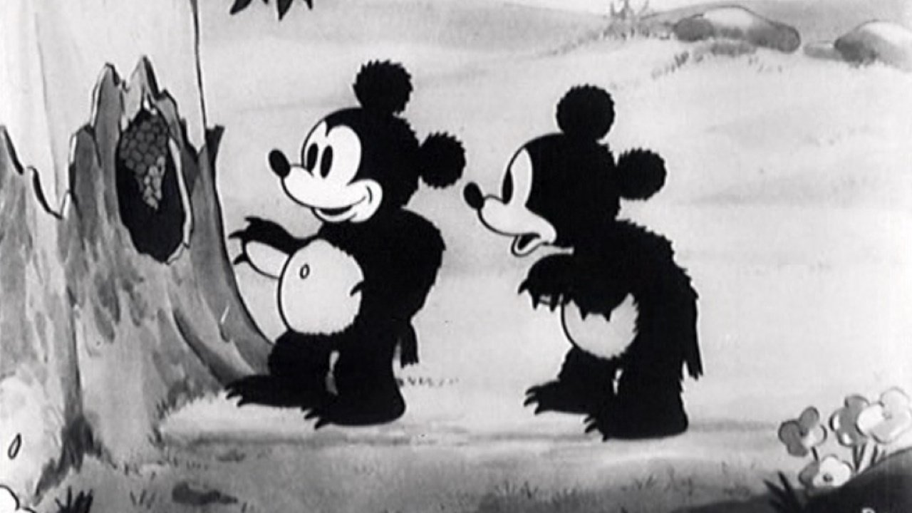 The Bears and the Bees Background